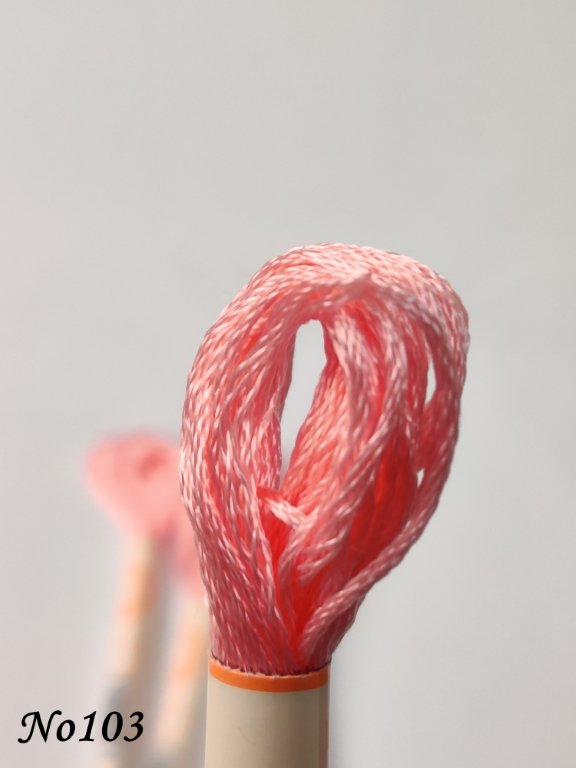 103 (DMC761) (1) (Medium)